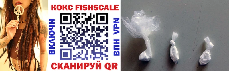 COCAIN Fish Scale как найти наркотики Элиста