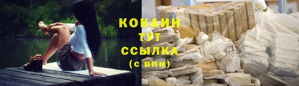 гашик Алексеевка