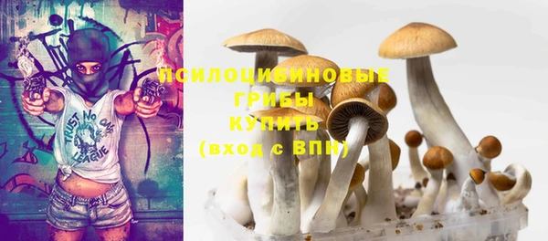 спиды Абаза